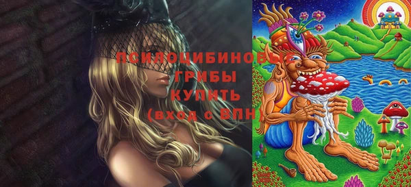 винт Алзамай
