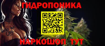 амф Кандалакша