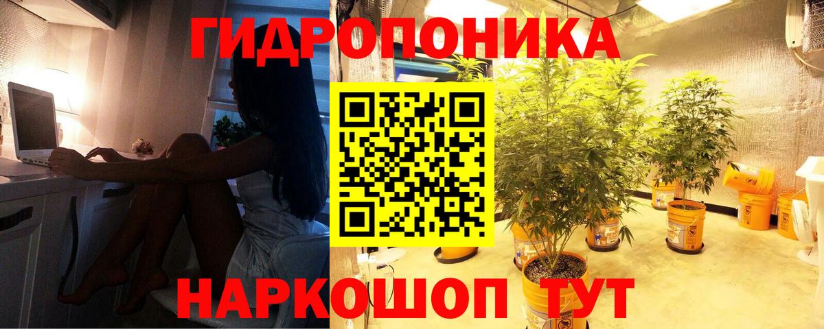 Конопля MAZAR  Шишки марихуана планчик  Бошки Шишки индика  Конопля тримм  Кемерово  Вход с VPN 